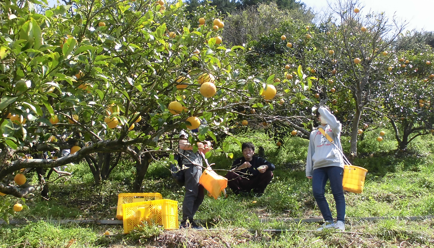 自然のとびら静岡の活動の様